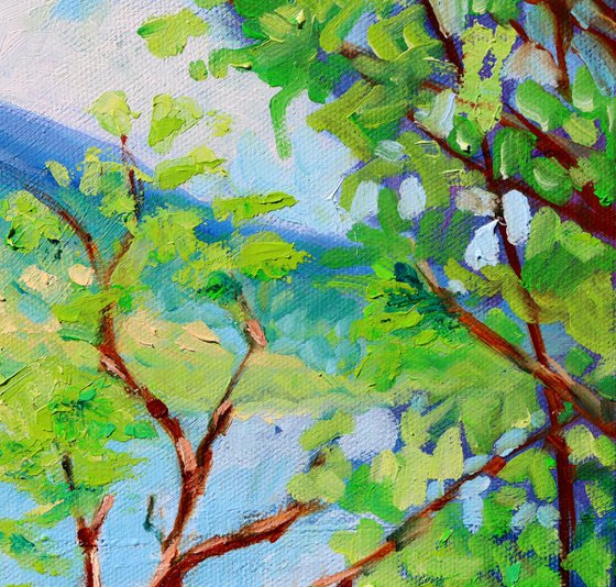 Thru the Trees, Pale Blue Hills