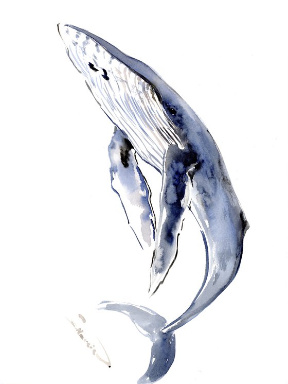 Humpback Whale