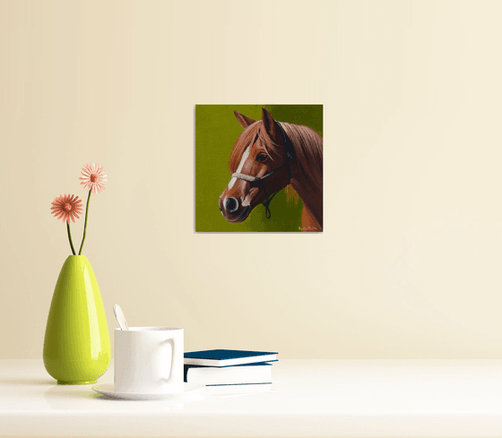 Horse Portrait 55