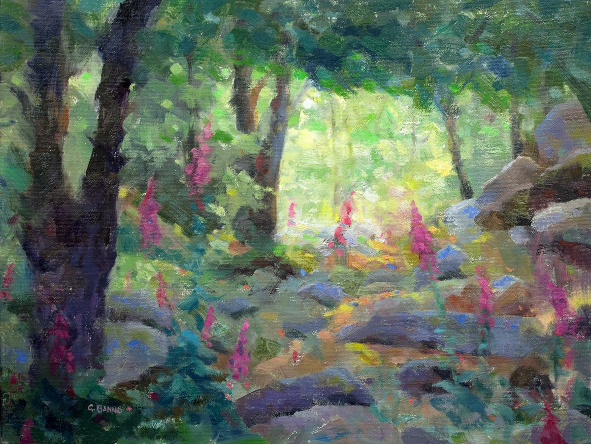 Impressionistic Landscape Oil Painting By Gav Banns, 16 X 12, Foxgloves And Rocks On Forest Floor, Original Artwork