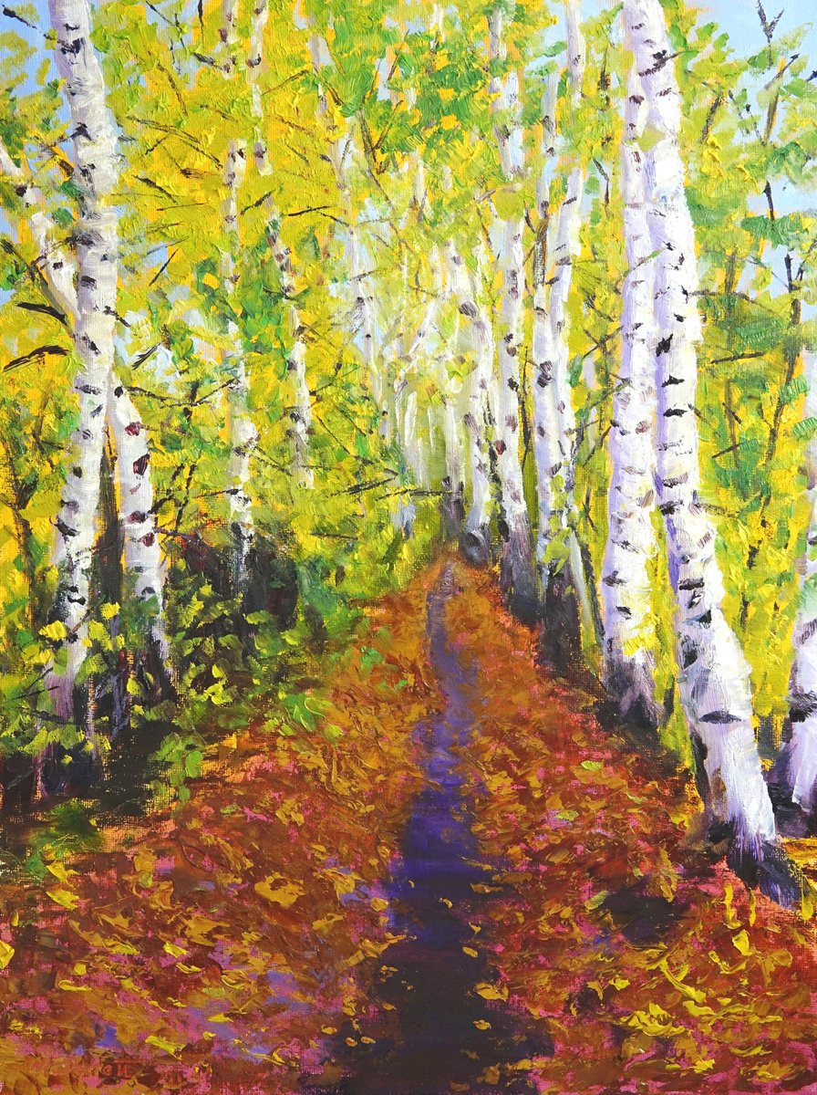 Birches Pathway by Marion Derrett