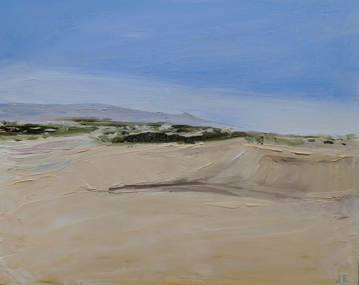 Gran Canaria sand dunes 3 by Jo Earl