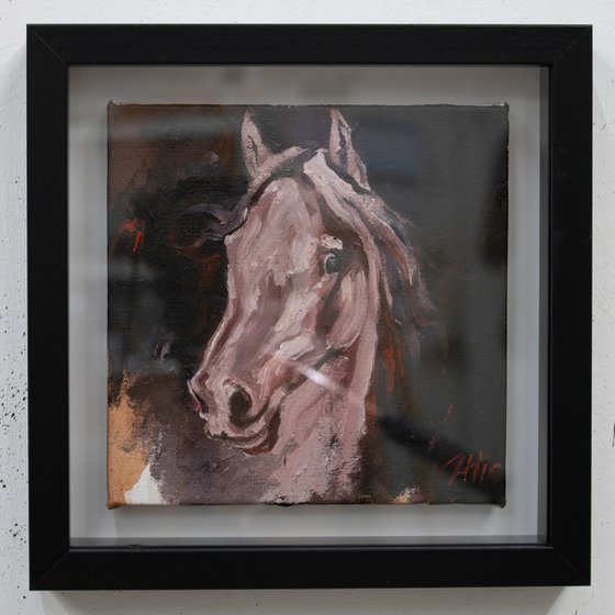 Equine Head Arab White (study 19)