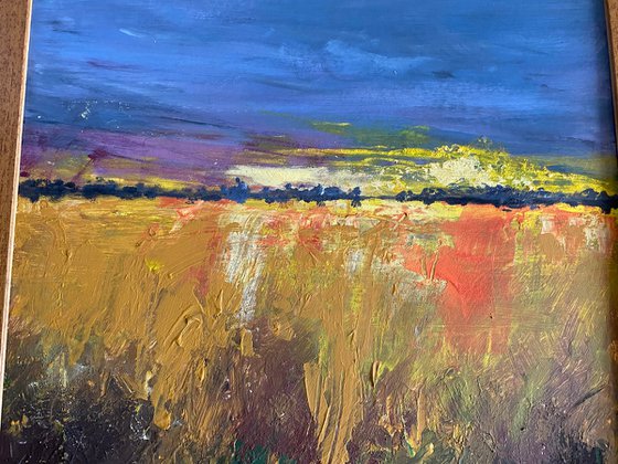 Pink sky over fields framed