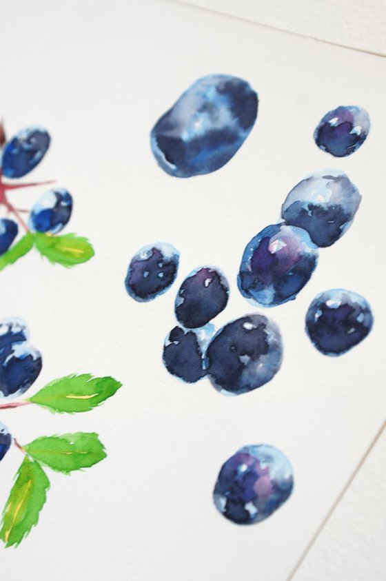 Blueberry study watercolour