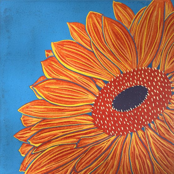 Gerbera