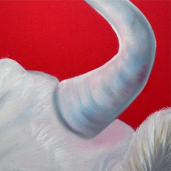 White cow