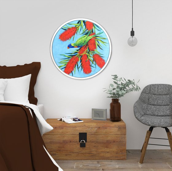 Rainbow Lorikeet in Blossoms
