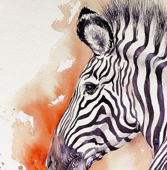 Red Dust_Zebra Portrait