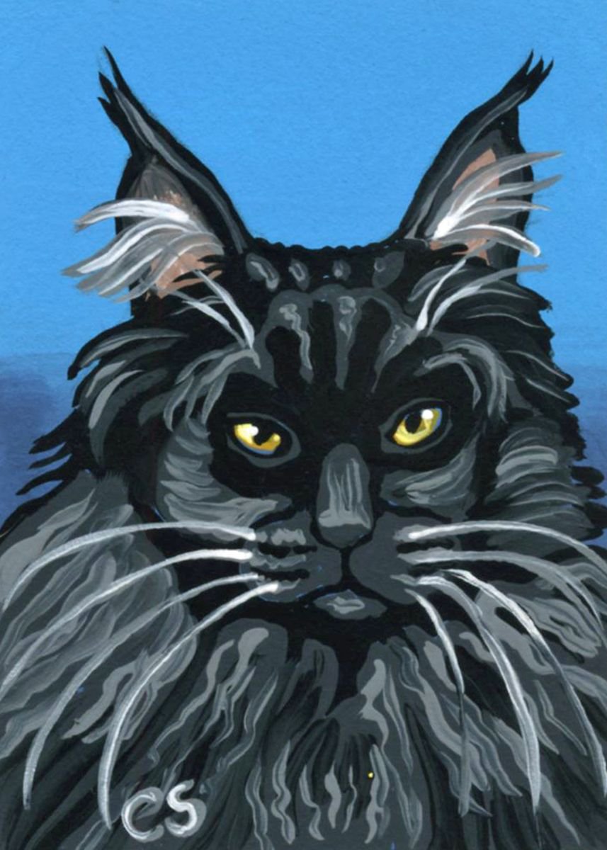 ACEO ATC Original Painting Black Maine Coon Pet Cat Art-Carla Smale by carla smale
