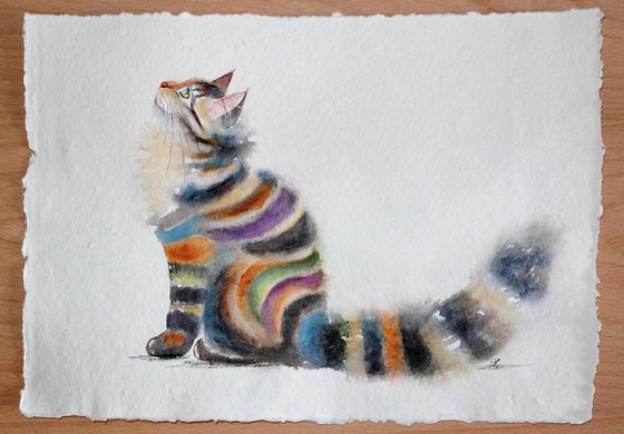Miss Stripes - Tabby Cat