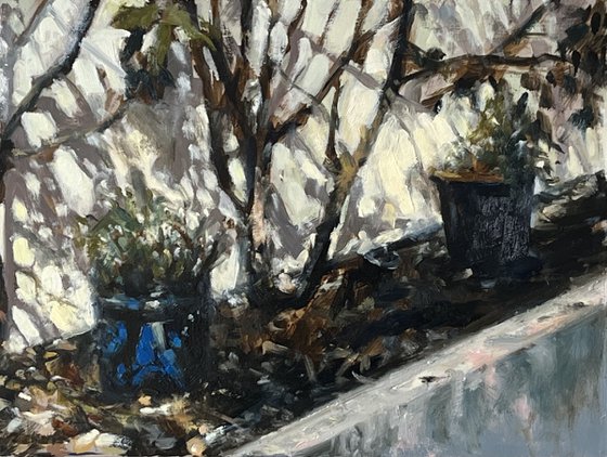 Garden Pot, Strong Sunlight