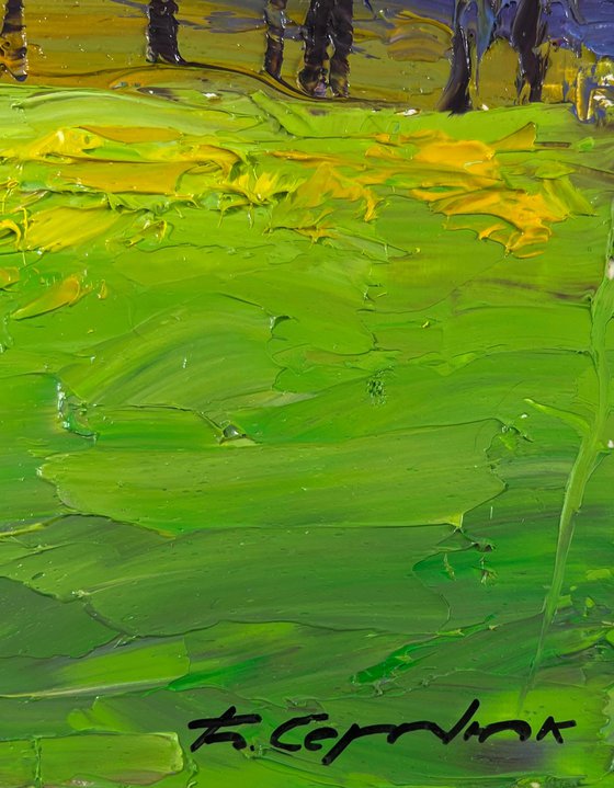 Mountain Flower Fields