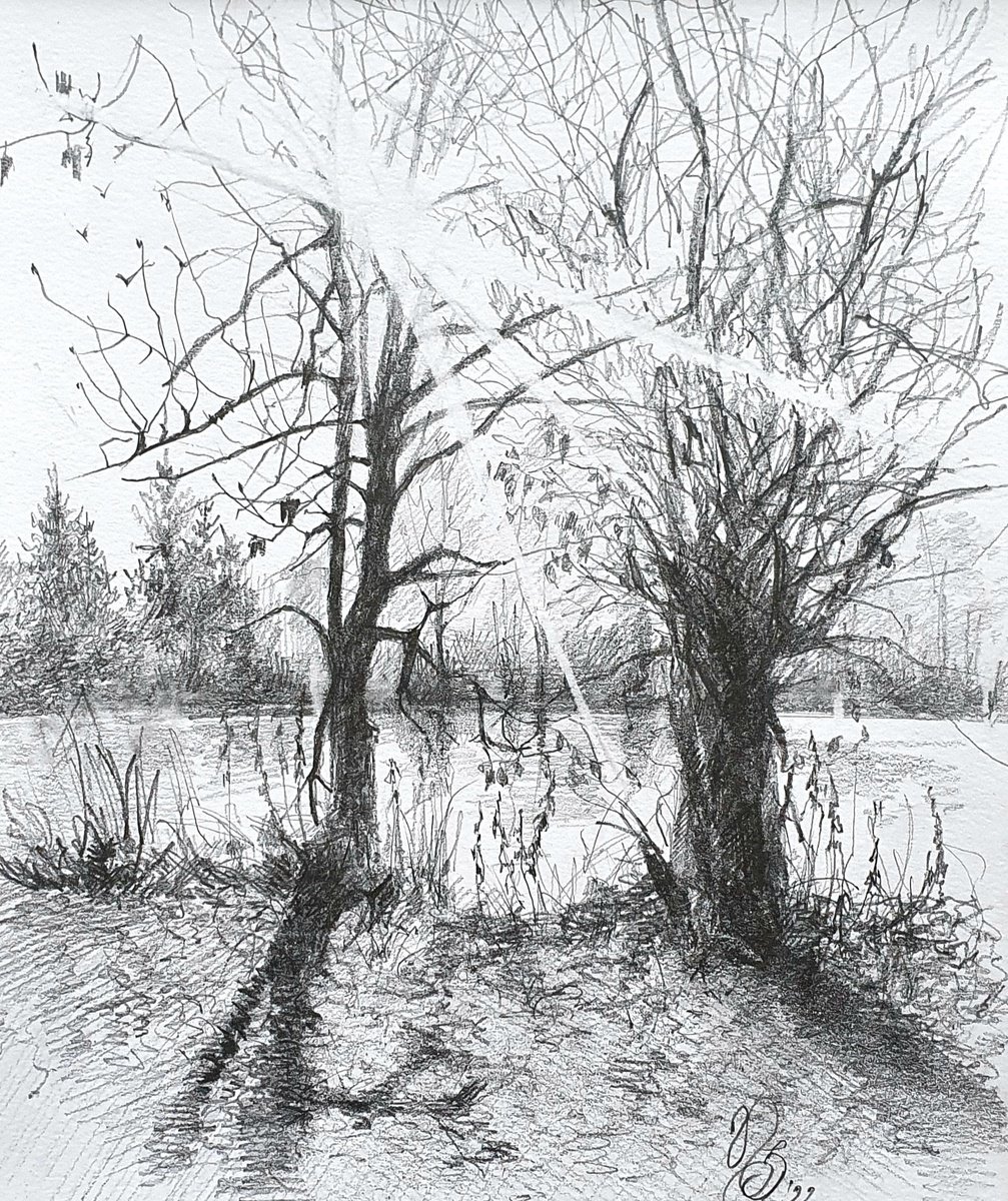 Impressionistic Landscape Pencil Drawing By Sonata Art, 12 X 16", November, Original Artwork