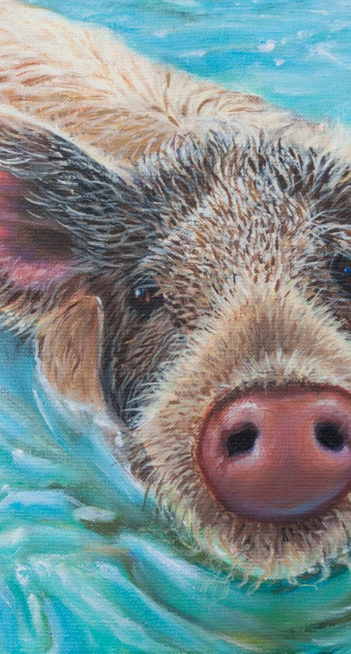 Swimming pig by Norma Beatriz Zaro