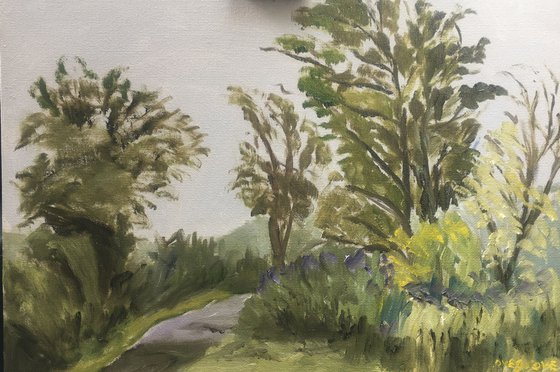 Trees in the rain,