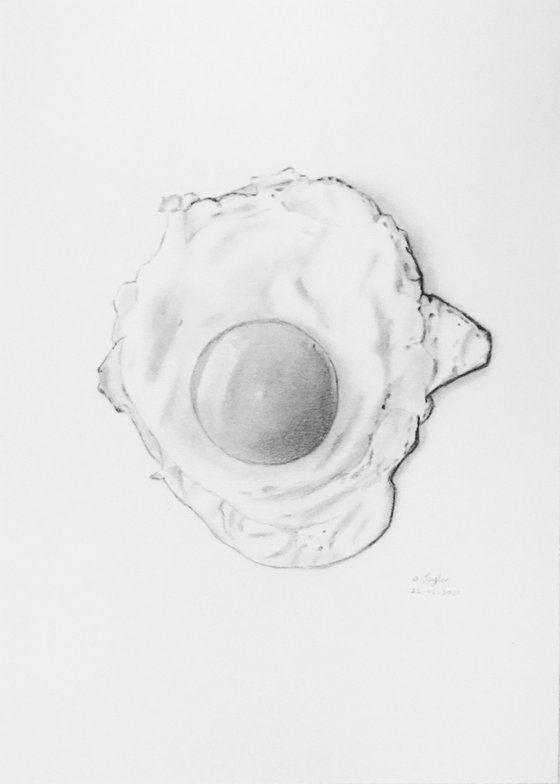 Fried egg drawing