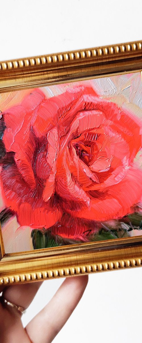 Red rose by Nataly Derevyanko