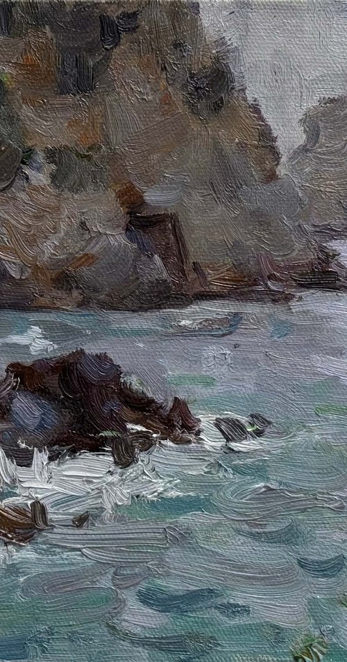 Silver Coast by Nataliia Nosyk