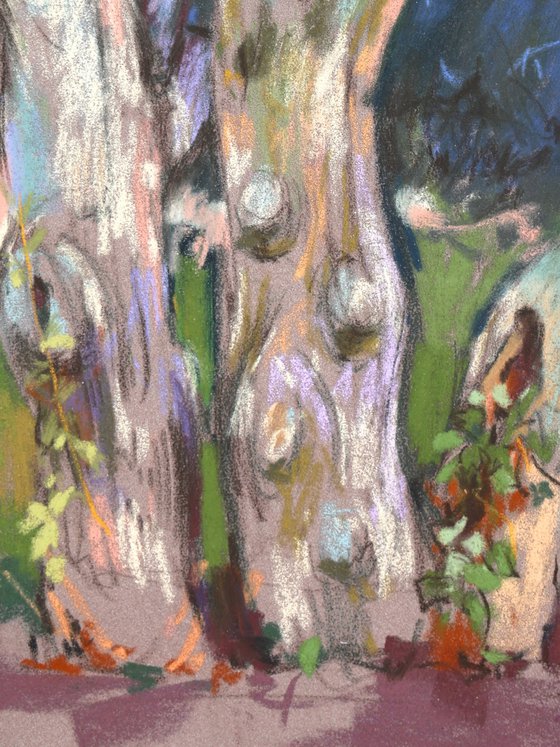 Through a Prism of Colors