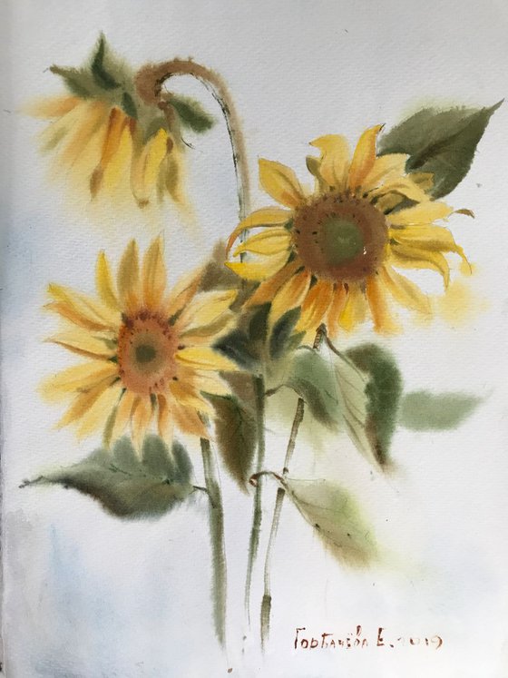 Sunflowers