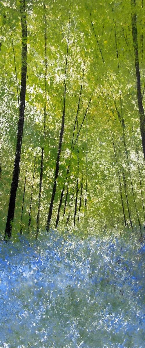 Bluebell Woods by Jan Rippingham