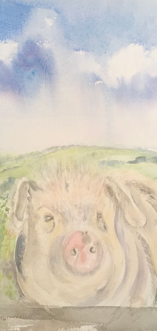 A pigs life by Samantha Adams