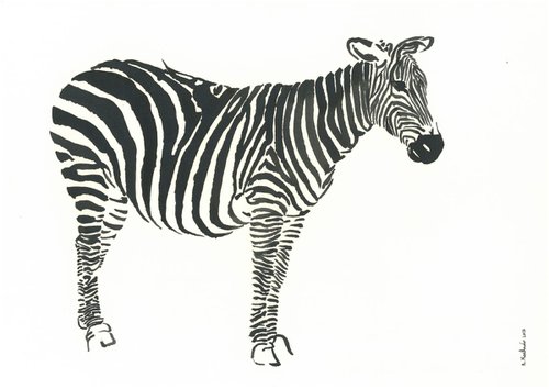 Zebra I Animal Drawing by Ricardo Machado