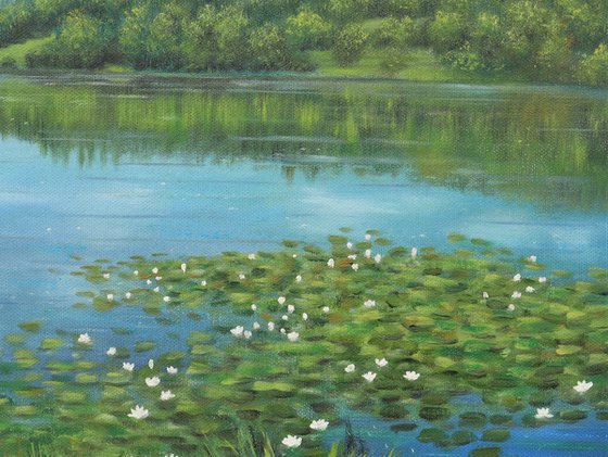 Pond with water lilies 2