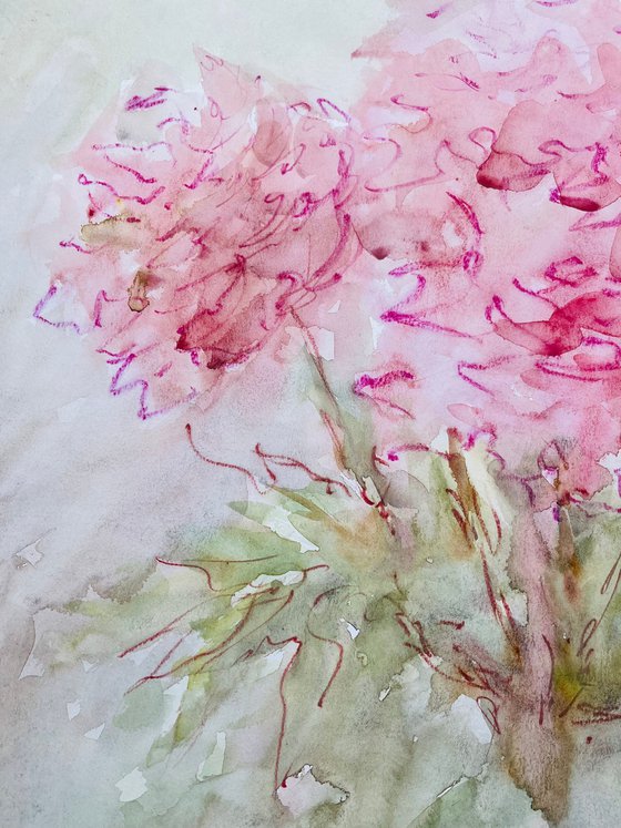 Big pink peonies 19,6x25,6 in