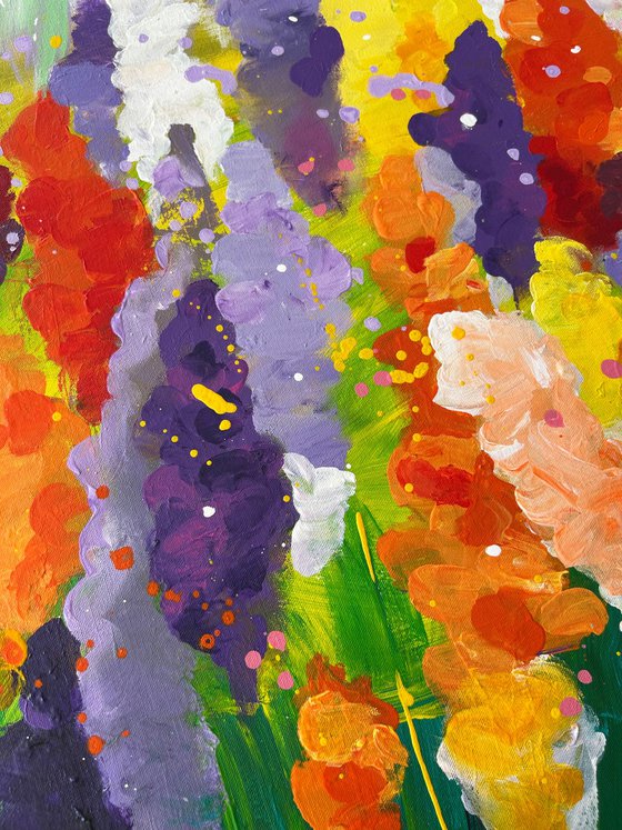 Gladiolus Festival