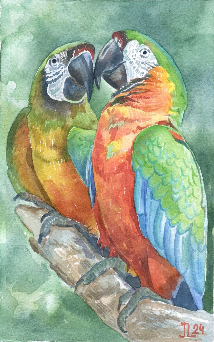 Sweet Parrots Watercolor by Julia Logunova