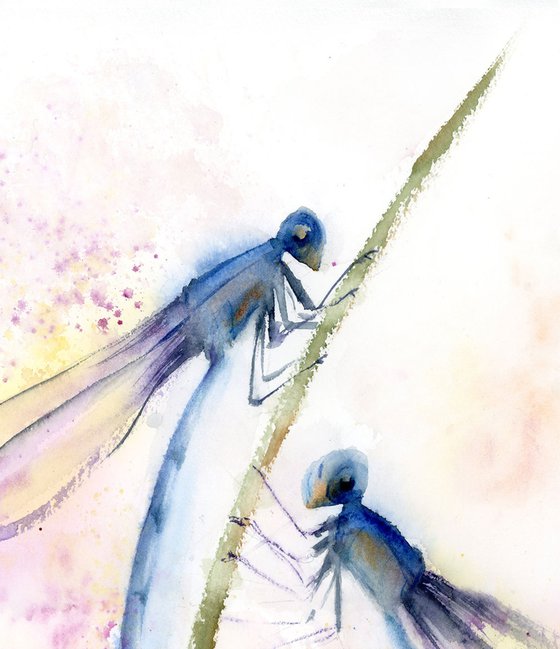 Pair of Dragonflies