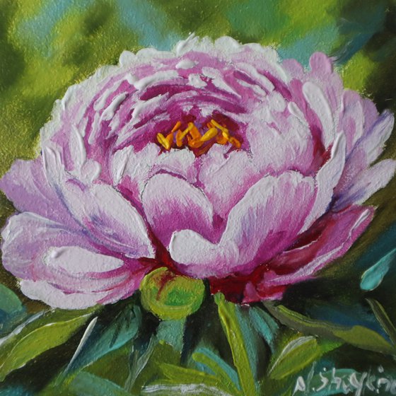 Peony Small Art Framed