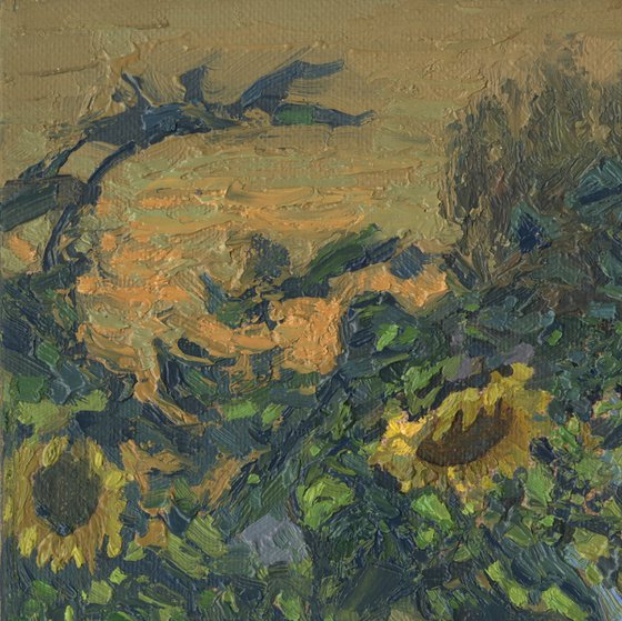 Sunflowers