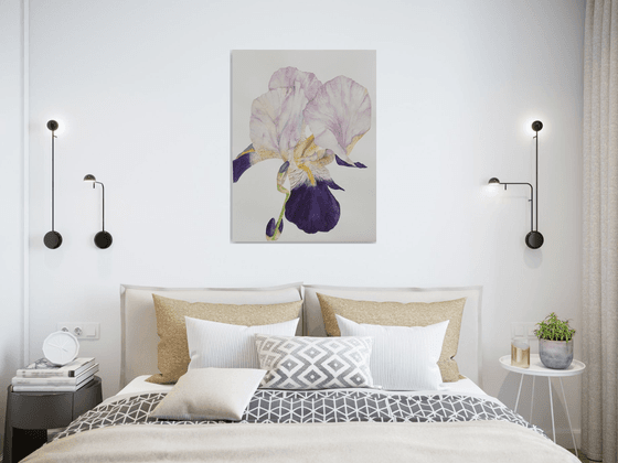 Soft Iris