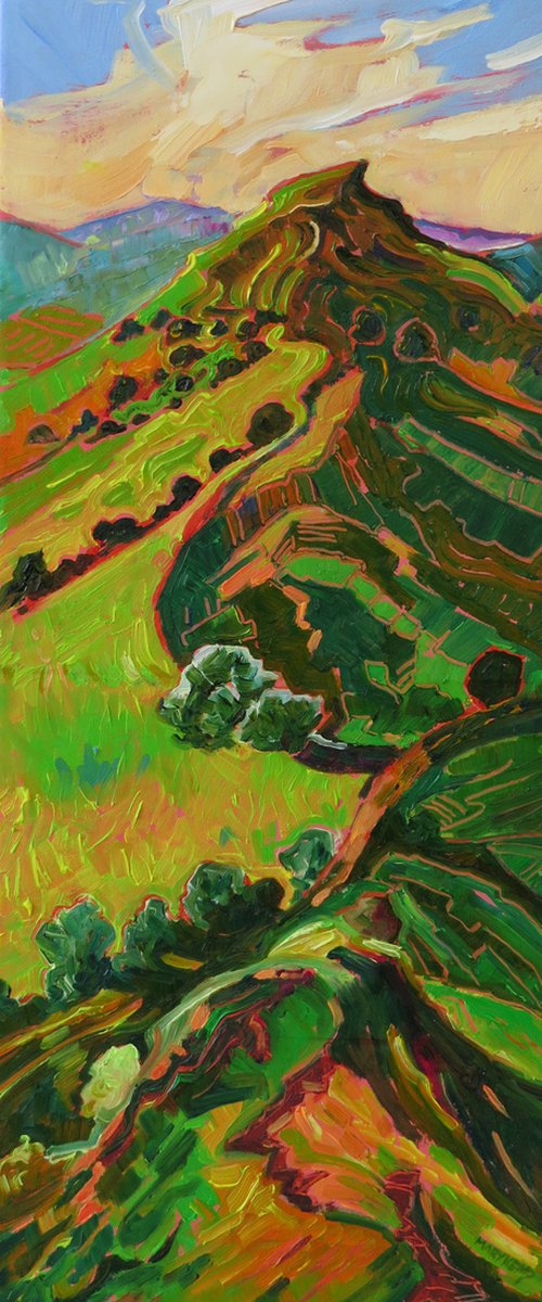 Dragon's Back, Peak District by Mary Kemp