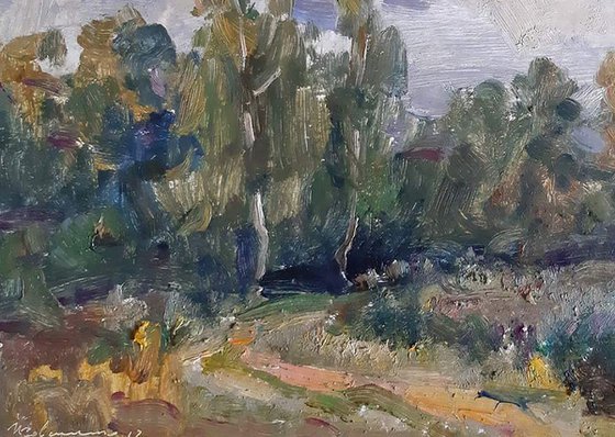 Forest landscape