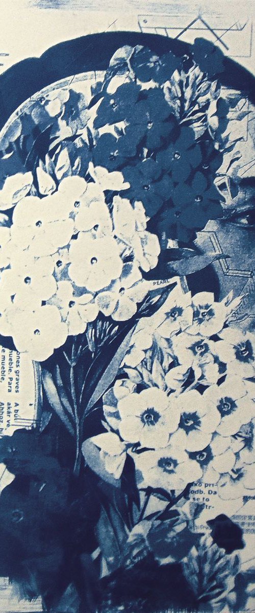 Cyanotype_03_A4_Flowers by Manel Villalonga