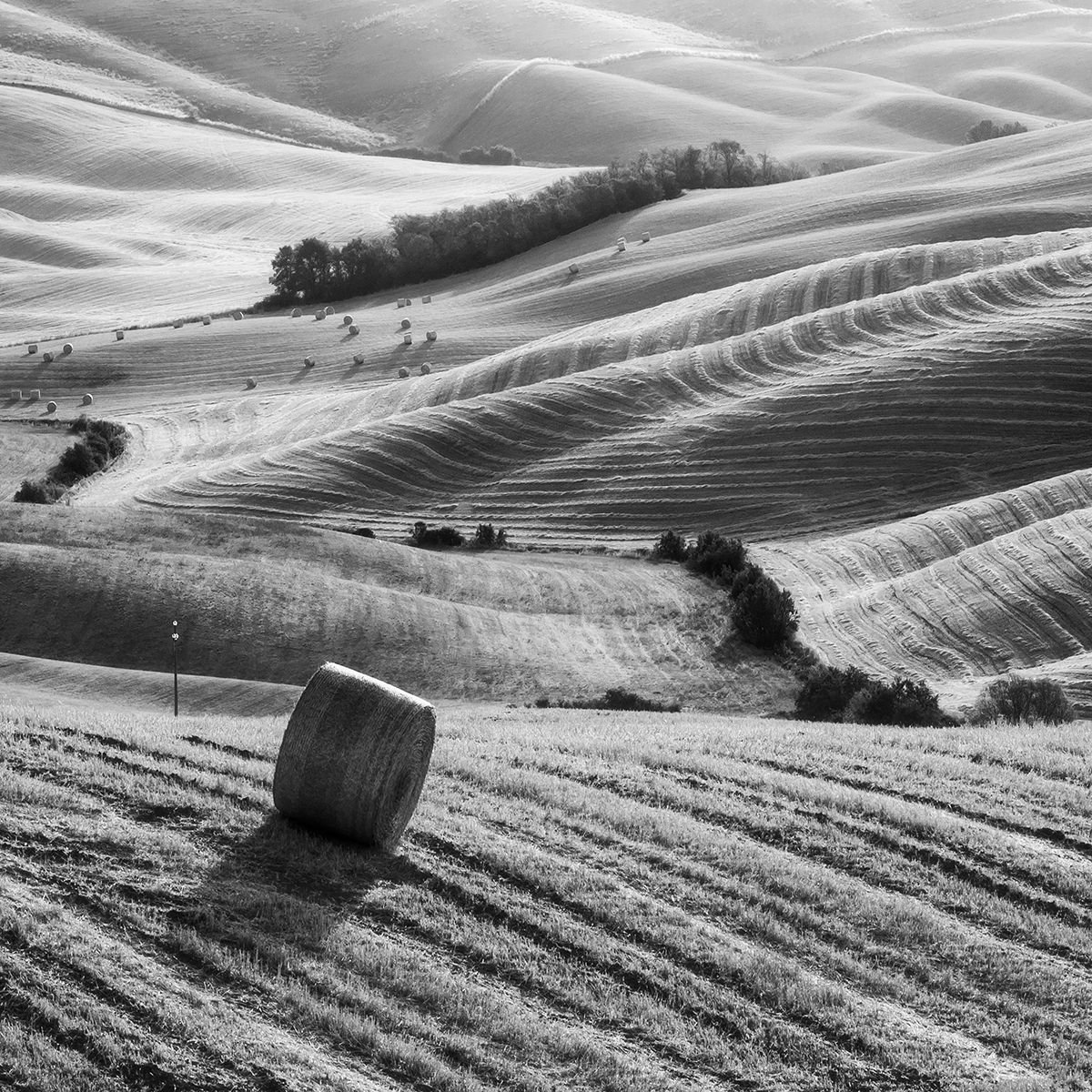 Summer in Tuscany by Tomasz Grzyb