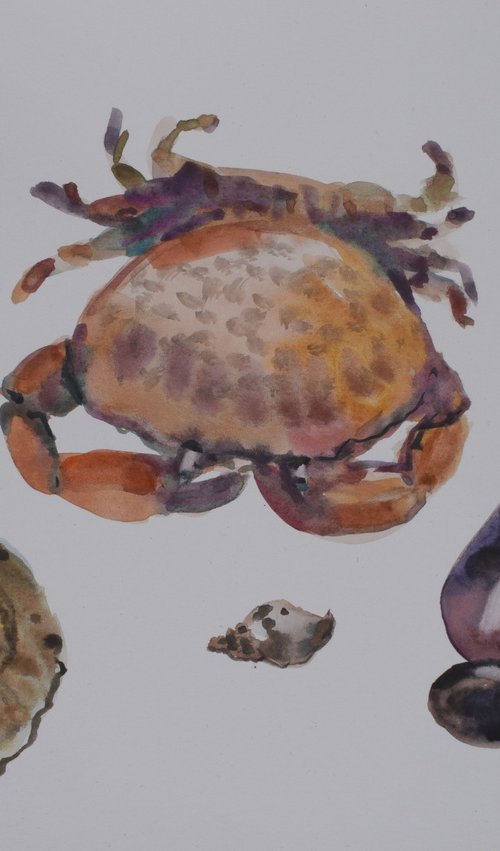 Gifts of the sea .Crab by Elena Sanina