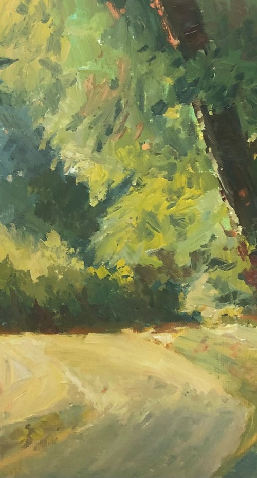 Light through by Padmaja Madhu