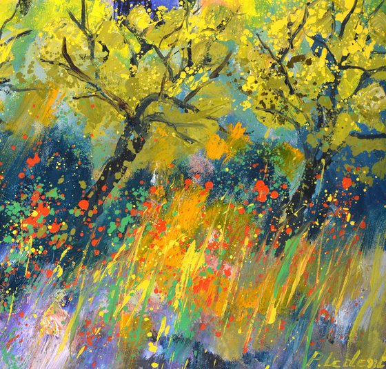 Provence 6724