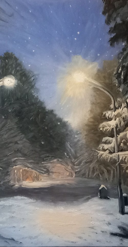 The Snowy Night by Steffan Johnson
