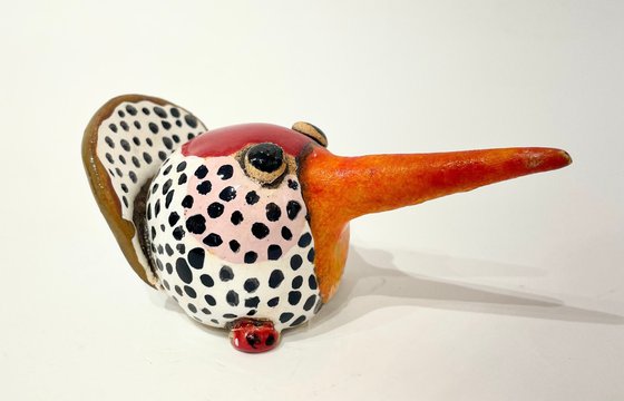 Sweet and Lovely Bird
