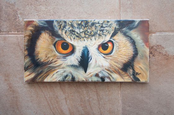 Owl eyes 2