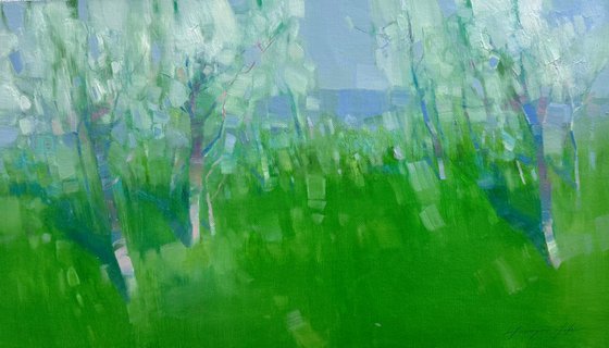 Blossom Trees
