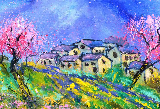 Blooming cherry trees in Provence