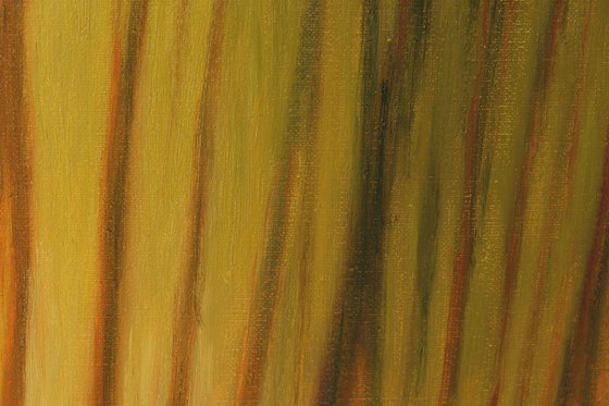 Forest in the evening