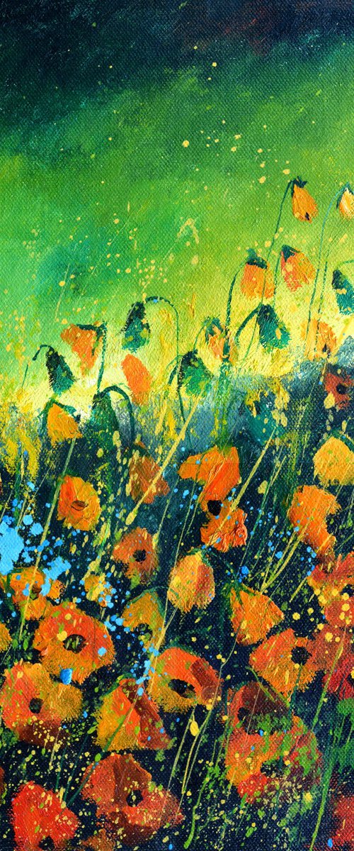 Poppies  -  4523 by Pol Henry Ledent